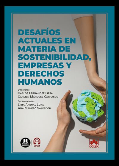 Desaf&iacute;os actuales en materia de sostenibilidad, empresas y derechos humanos