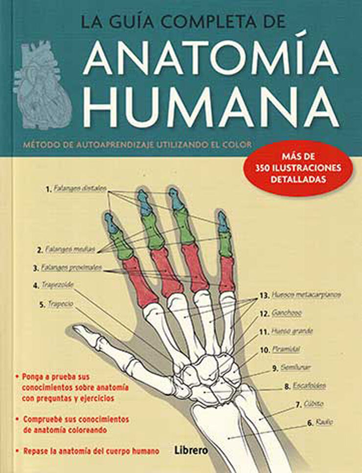 La guía completa de Anatomía Humana