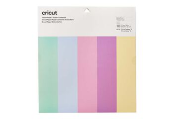 Cartulinas Smart 33x33cm pastel 10u