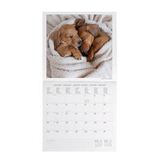 Calendario Legami 30x29 Pared Puppies Multiling&uuml;e 2027