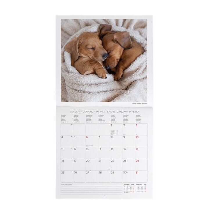 Calendario Legami 30x29 Pared Puppies Multiling&uuml;e 2027