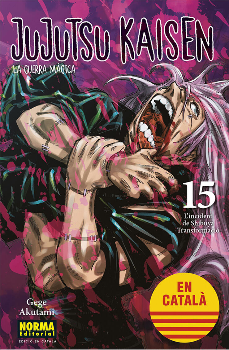 Jujutsu kaisen 15 català