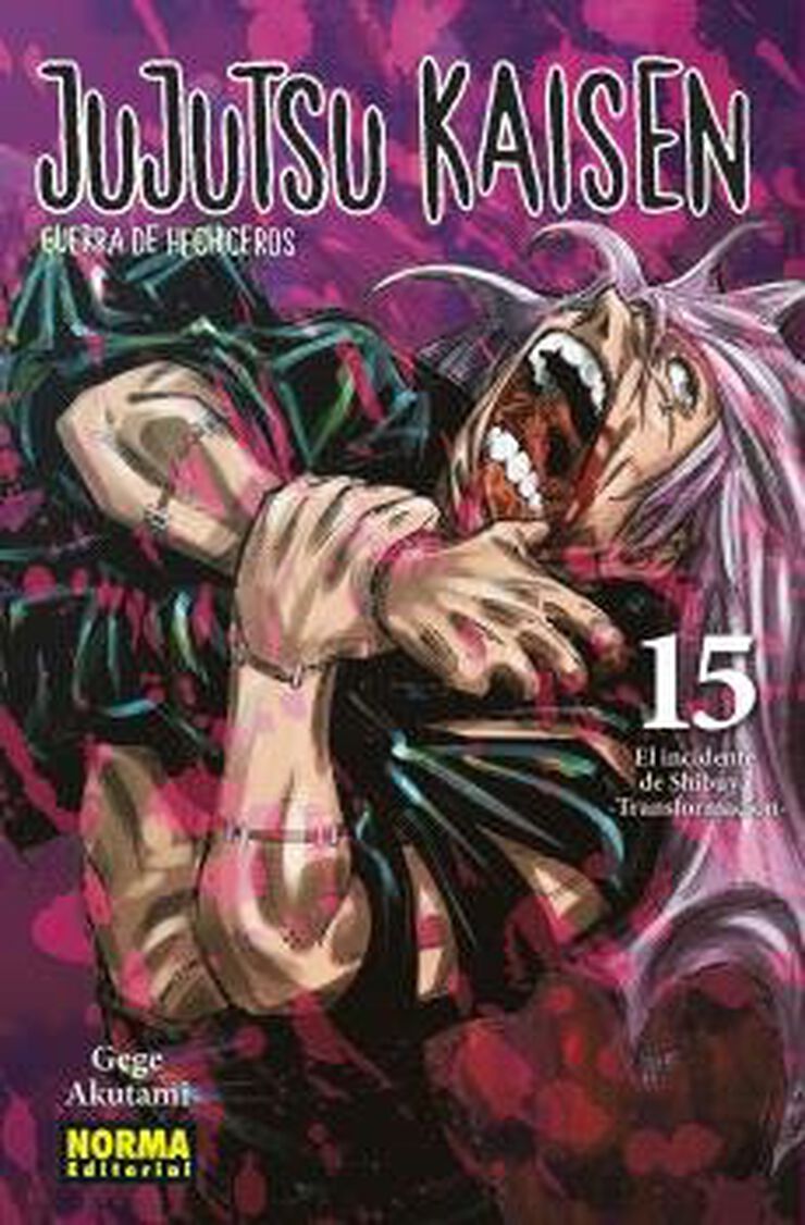 Jujutsu Kaisen 15