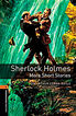 Sherlock Holmes Stories Pk