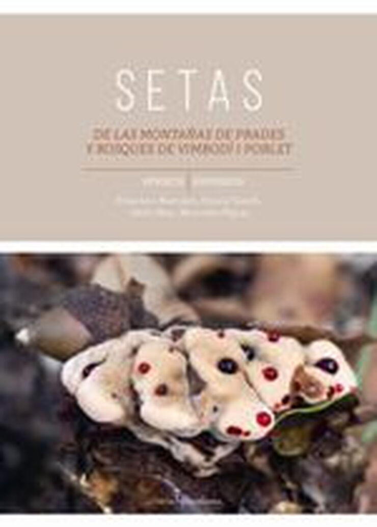 Setas de las monta&ntilde;as de Prades y bosque