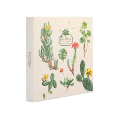 Álbum Fotos 16X16 cm Kokonote Botanical Cacti