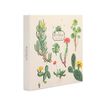 Álbum Fotos 16X16 cm Kokonote Botanical Cacti