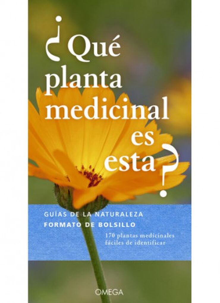 ¿Qué planta medicinal es esta?