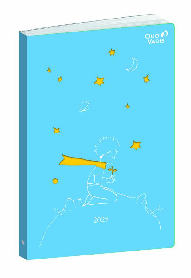 Agenda Quo Vadis Reciclada Ministro A5+ sem/vista mult 2025 Peque&ntilde;o Pr&iacute;ncipe Luna azul