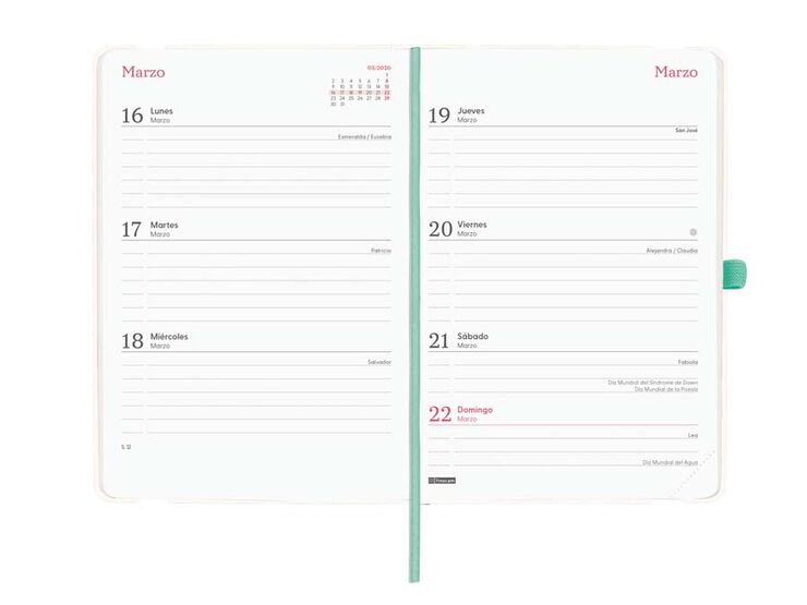 Agenda Finocam 16 mesos Capri F4 setm/vista cas 2025-26 jungla