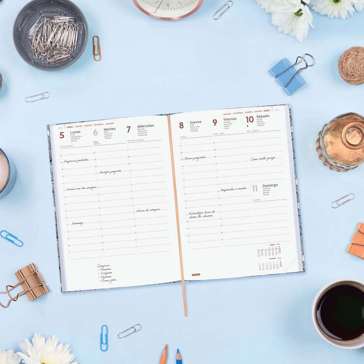 Agenda Finocam Berlín Y10 sem/vista vertical cas 2026 Cotton