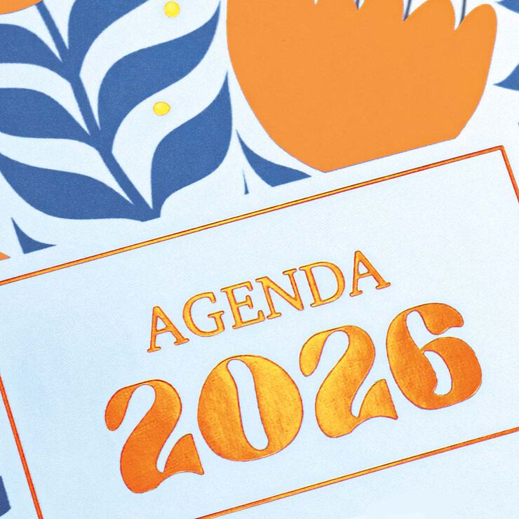 Agenda Finocam 16 meses Vitae 1/4 sem/vista cas 2025-26 azul