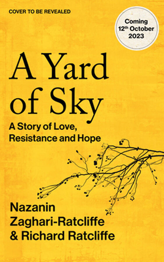 A Yard Of Sky