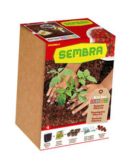 Joc de jardineria Sembra Kit mini Tomaquets cherry Joc de jardineria Sembra Kit mini Tomaquets cherry