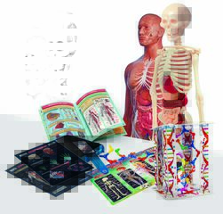 Laboratorio de anatomía