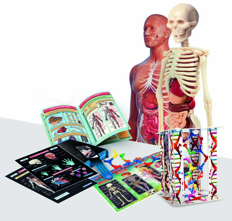 Laboratorio de anatomía