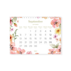 Calendario Takenote Pared 2027 Daniela