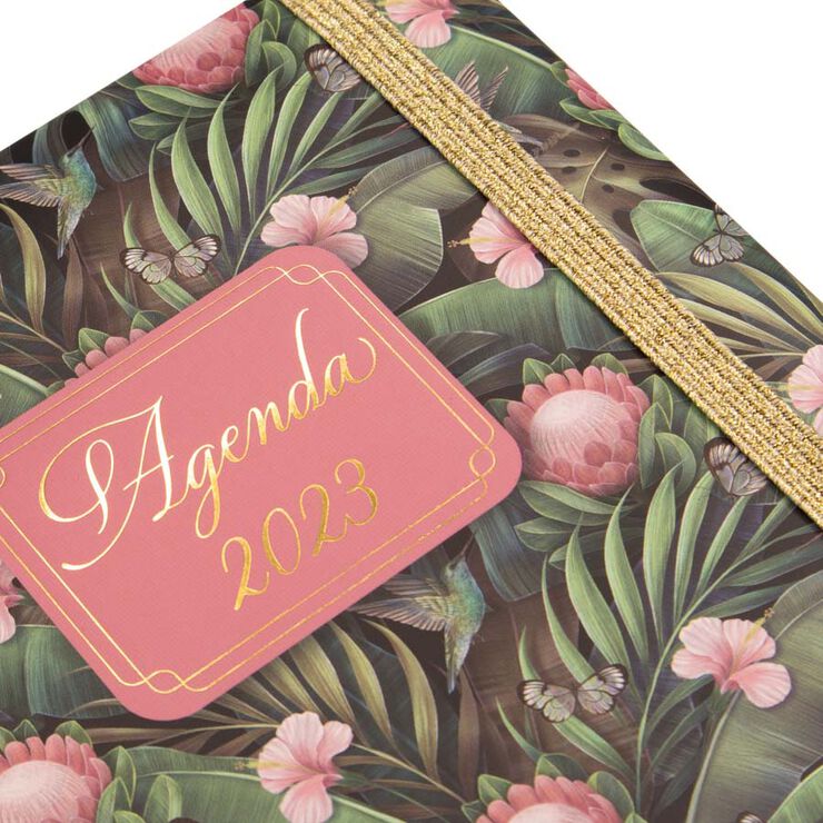 Agenda You E10 1DP 23 Tulip Cast