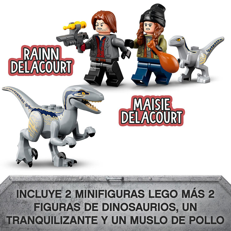LEGO® Jurassic World Captura de los velocirraptores Blue y Beta 76946