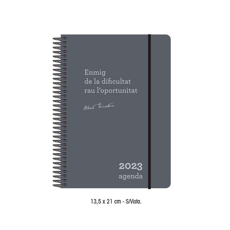 Agenda 2023 Einstein Sem/Vista Cat.Gris