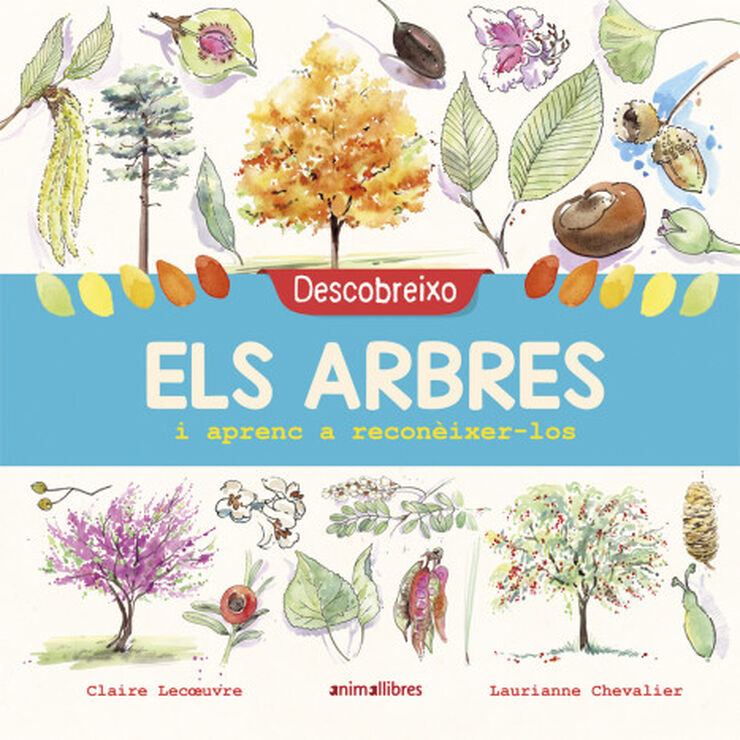 Descobreixo els arbres i aprenc a reconèixer-los