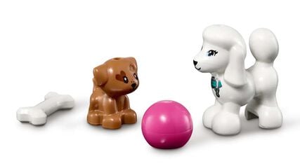 LEGO® Friends Centro Canino de Día 41691