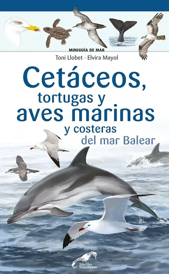 Cet&aacute;ceos, tortugas y aves marinas y costeras del mar Balear
