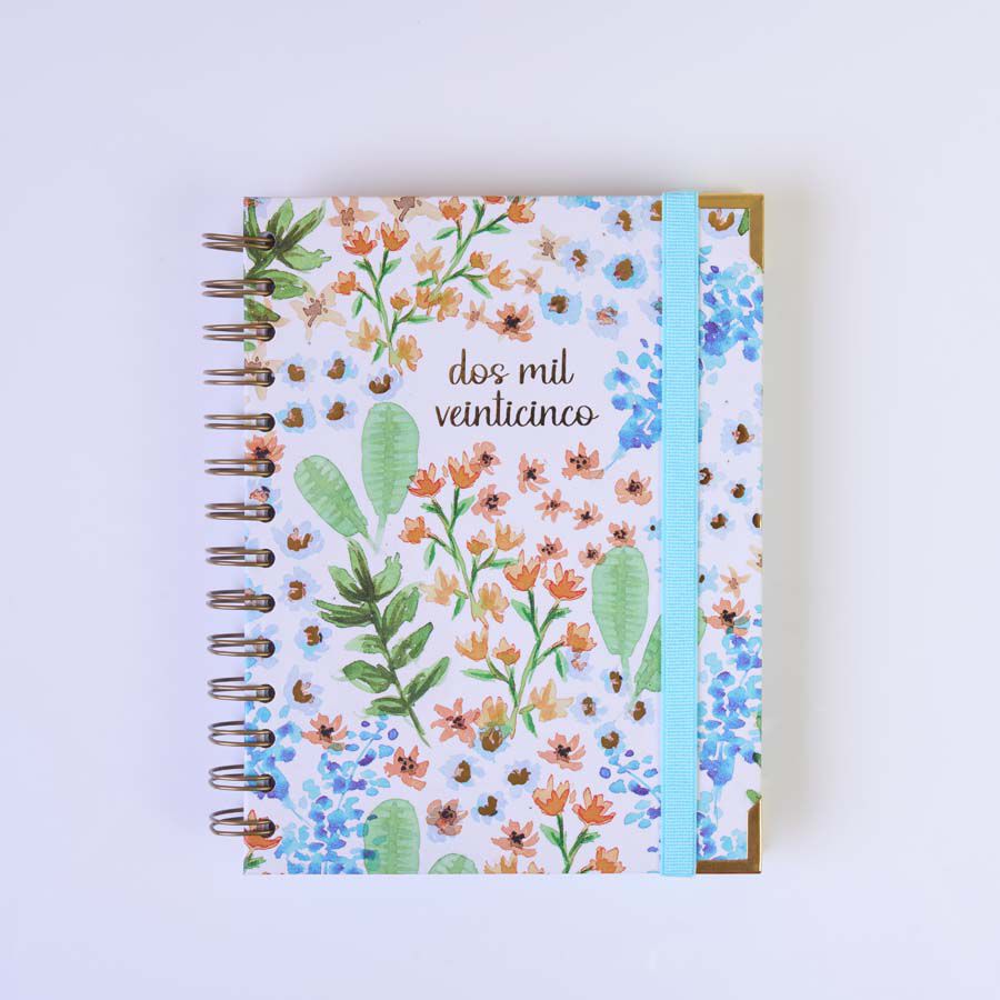 Agenda Takenote 13x18 sem/vista mult 2025 Emma