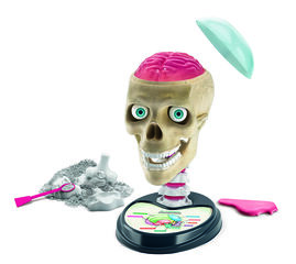 Anatomía... Fuera de cabeza
