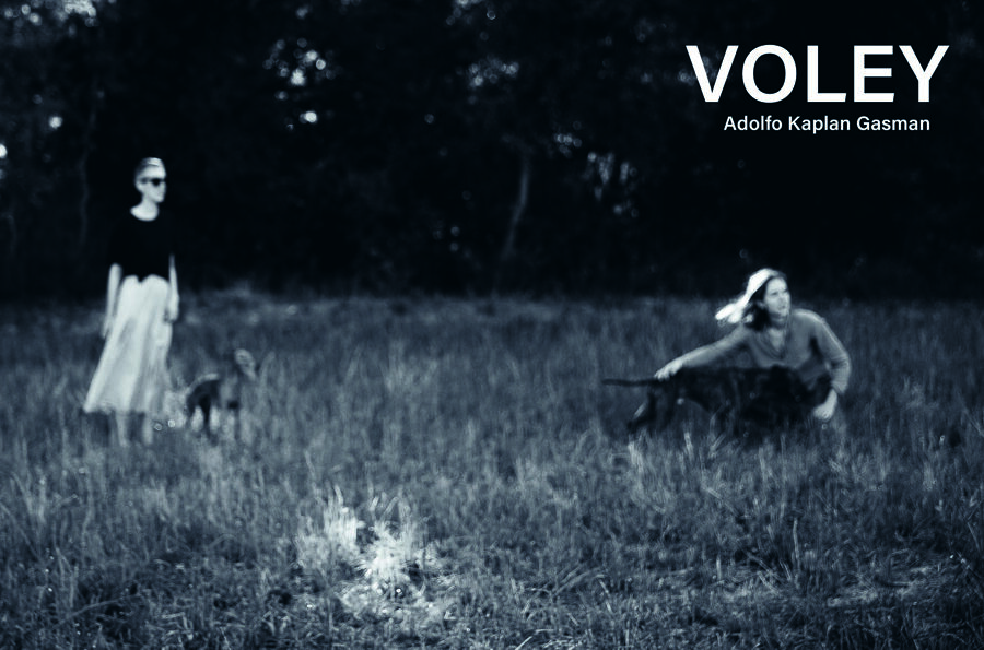 V&oacute;ley