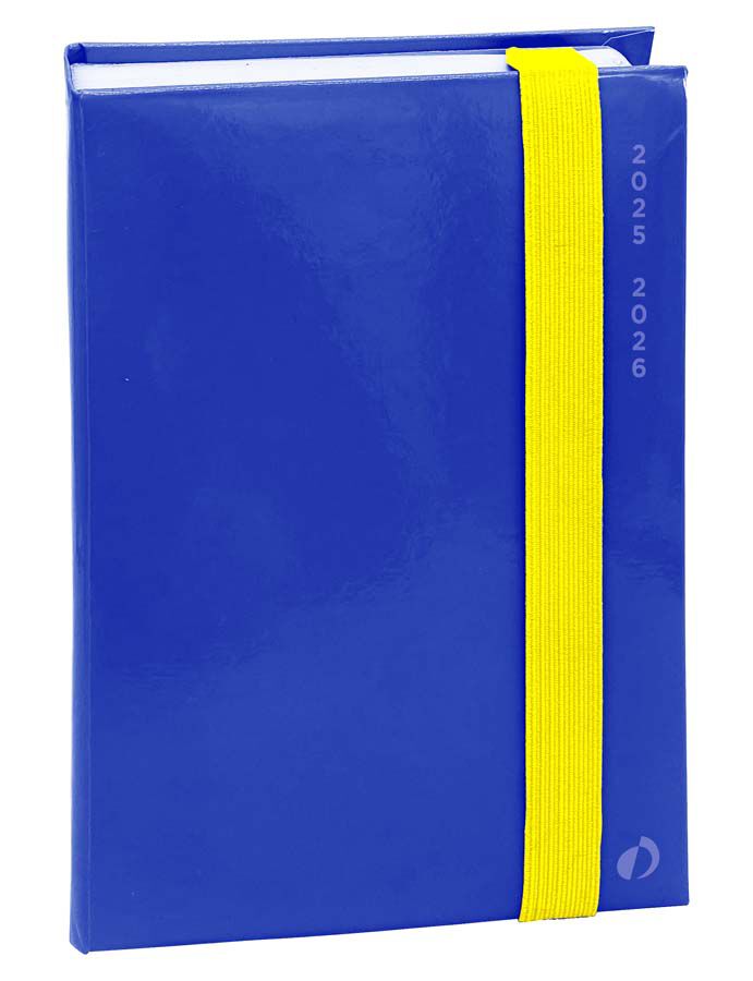 Agenda escolar Quo Vadis Rio 12x17cm d&iacute;a p&aacute;g. mult. 2025-26 azul