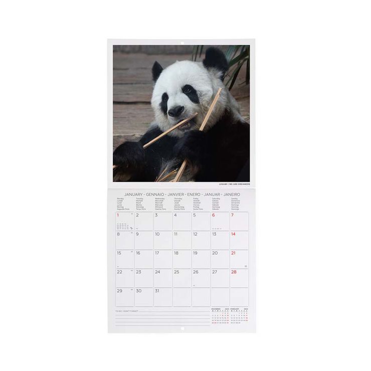 Calendario pared Legami 18X18 2024 Pandastic