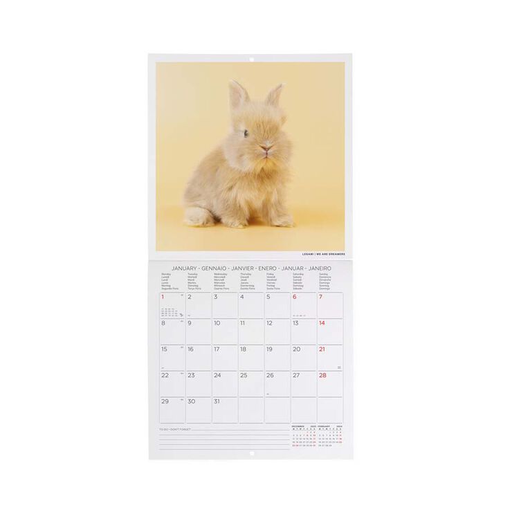 Calendario pared Legami 18X18 2024 Honey Bunny