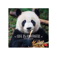Calendario Pared Legami m/vista 2025 Pandastic