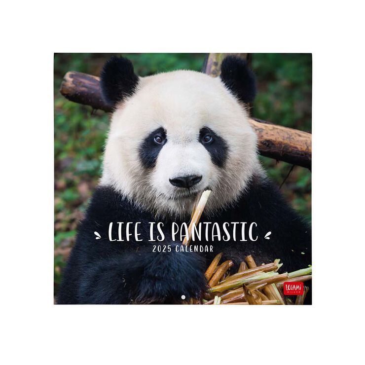 Calendario Pared Legami m/vista 2025 Pandastic