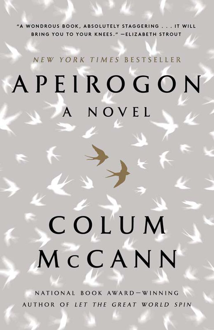 Apeirogon a novel