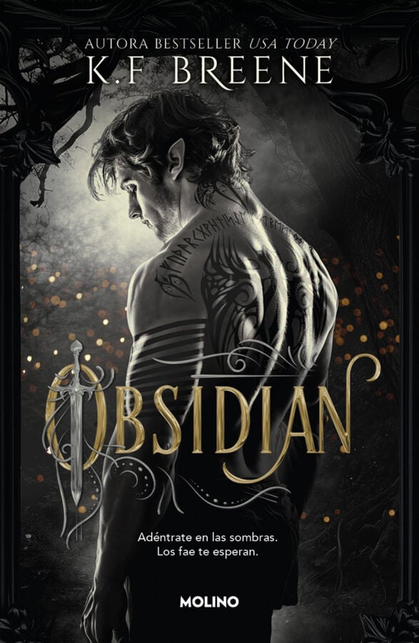 Los fae de las sombras 1 Obsidian