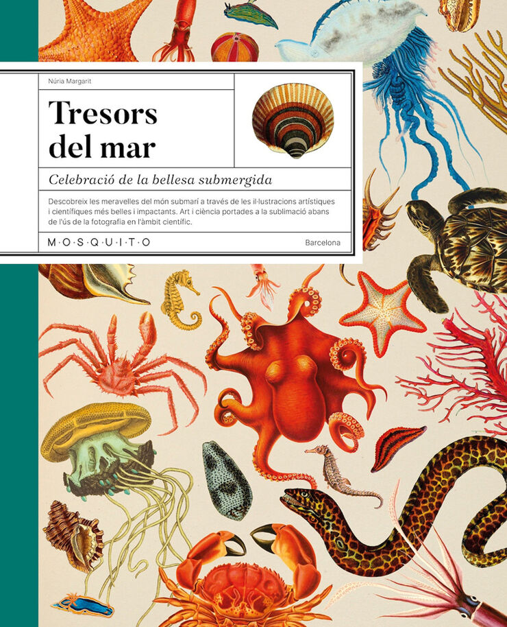 Tresors del mar