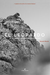 El leopardo de las nieves El leopardo de las nieves