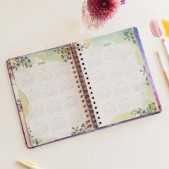 Agenda La Vecina Rubia castellano sem/vista 2026