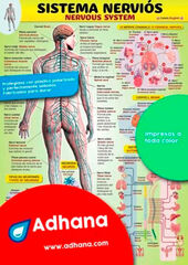 ADHAC 35X50 Sistema nerviós