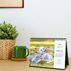 Calendario sobremesa Finocam 2026 Gosso y Gatos castellano