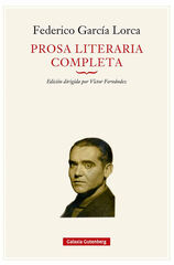 Prosa literaria completa