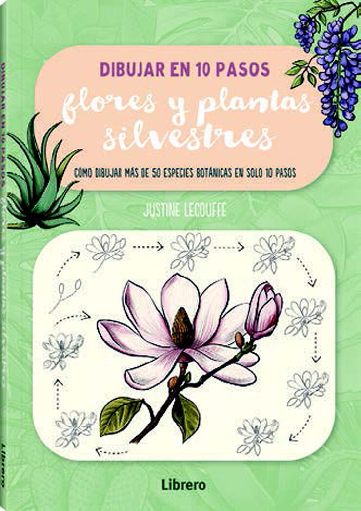 Dibujar flores y plantas silvestres en 10 pasos