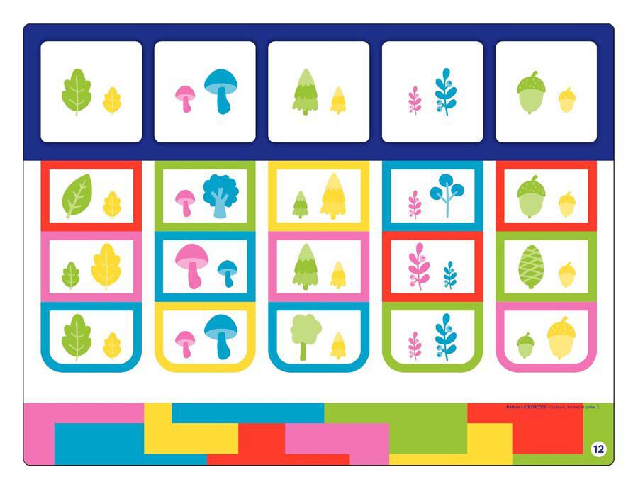 Colorcode colores formas y medidas II