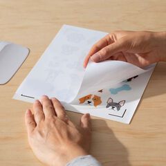 Sticker imprimible impermeable A4 transparente holográfico 5 hojas