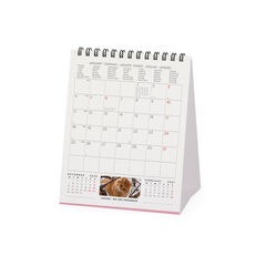 Calendario Legami 12x14,5 Sobremesa Cats Multiling&uuml;e 2027