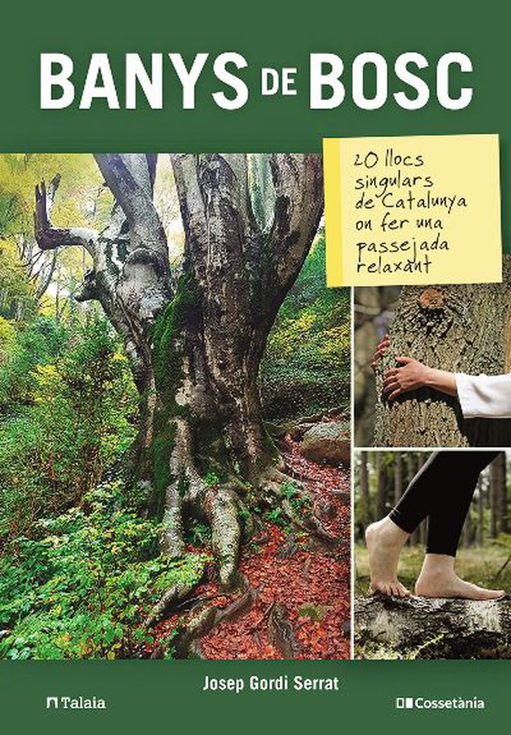 Banys de bosc: 20  llocs singulars de Catalunya on fer unapasejada relaxant