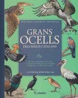Grans ocells dels Pa&iuml;sos Catalans