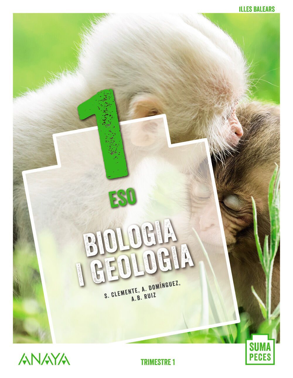 Biologia I Geologia/20 Eso 1 Anaya Text 9788469861523